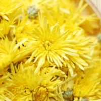 食用菊の茹で方、食べ方と保存方法