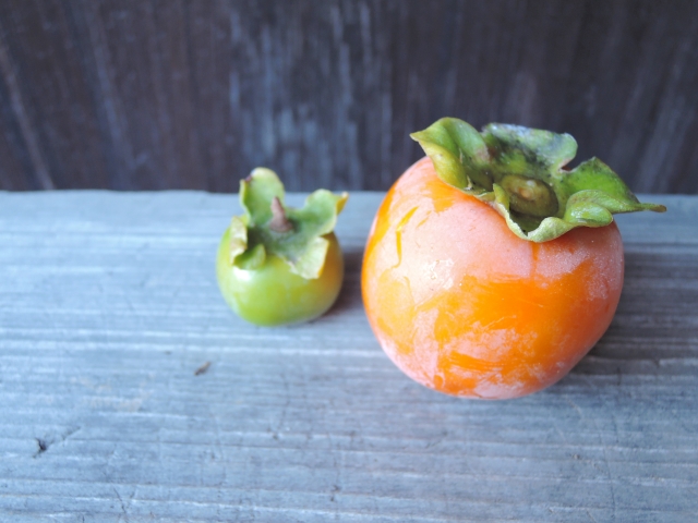 食べ頃の柿と未熟な柿