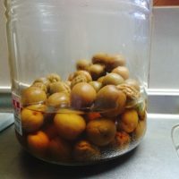 果実酒から取り出した果実の再利用方法。スイーツや料理にもアレンジ可能！